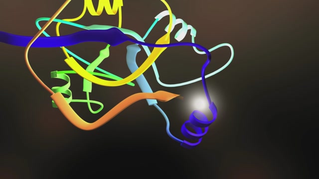 Fragment uit Protein Buildup